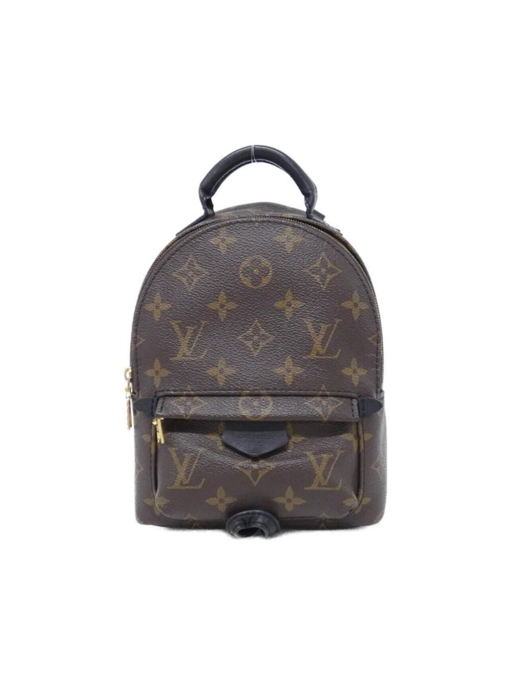 Louis Vuitton Monogram Palm Springs Backpack Mini